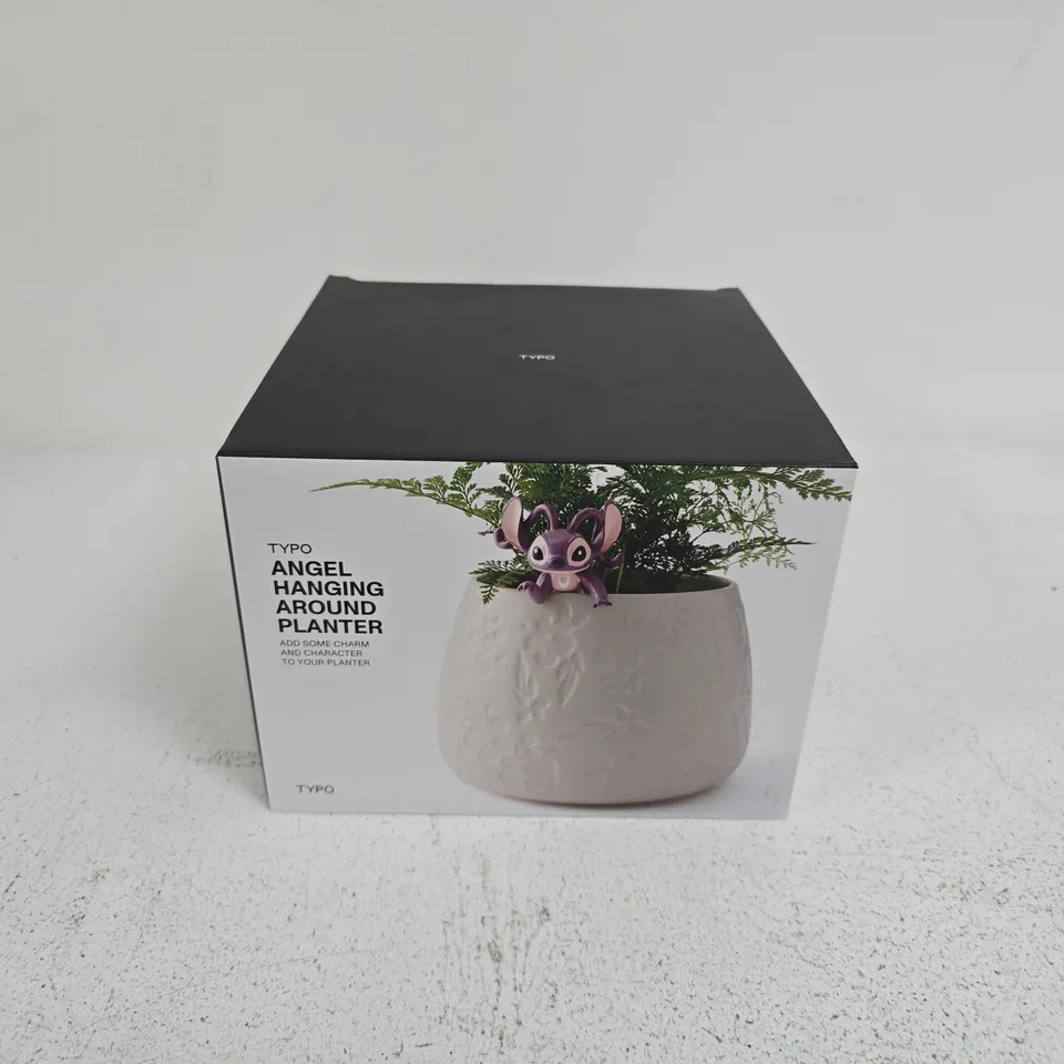 4 BOXED TYPO ANGEL HANGING AROUND PLANTERS