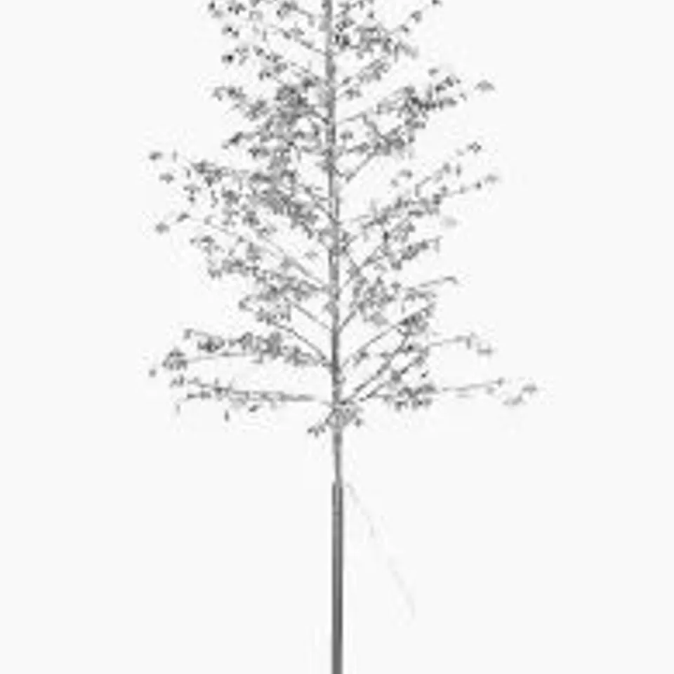 BOXED ALISON CORK PRE LIT JEWELED TREE - ROSE GOLD - COLLECTION ONLY