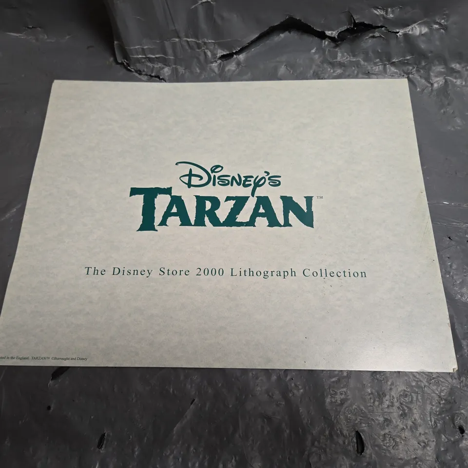 DISNEY STORE LITHOGRAPHS SET THREE – TARZAN & 101 DALMATIANS (THE DISNEY STORE 2000 LITHOGRAPH COLLECTION)