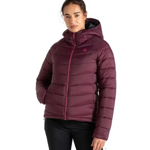 TEN BRAND NEW DARE2B WOMEN'S TORREK MOUNTAIN BAFFLED JACKET IN FIG