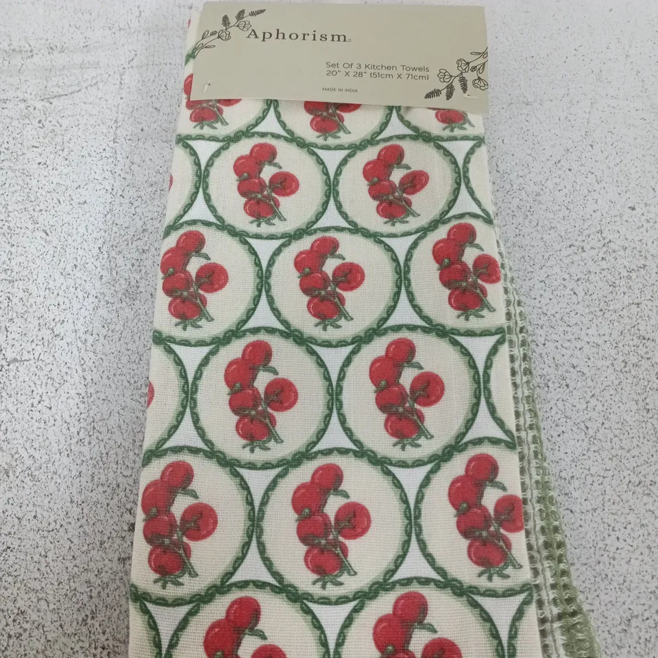 APHORISM SET OF 3 KITCHEN TOWELS 