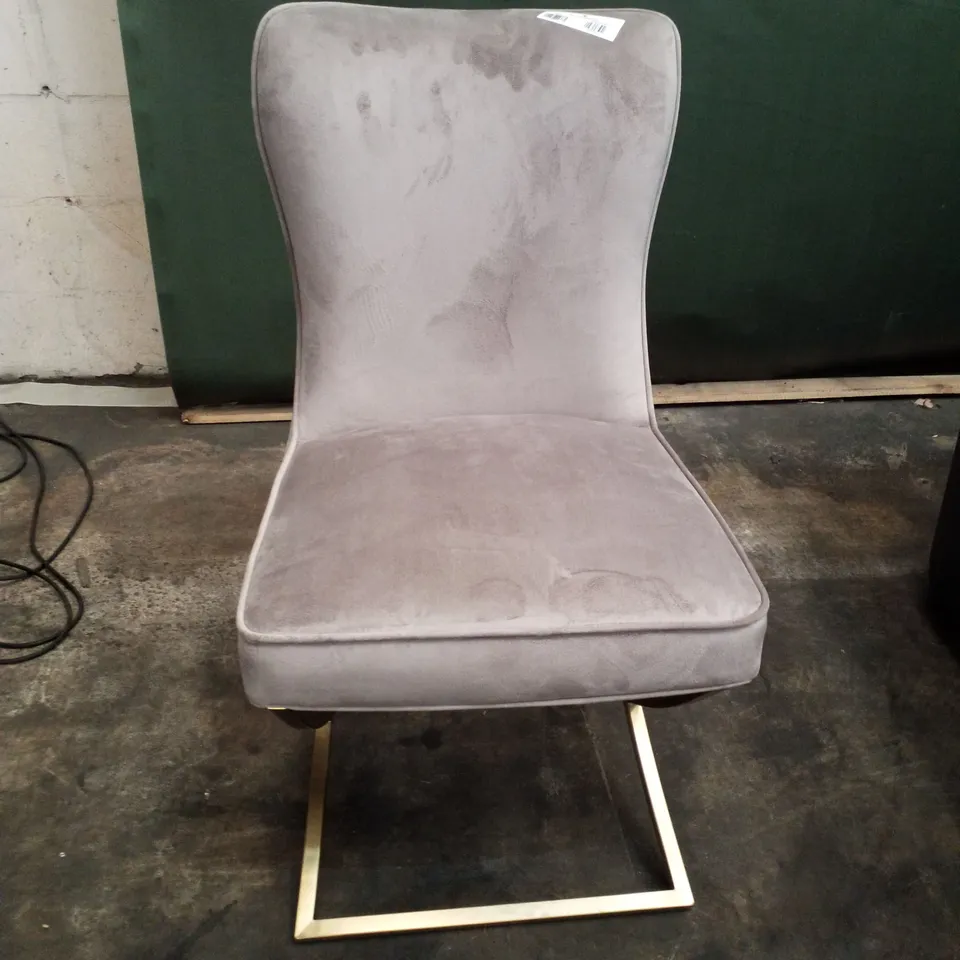 MINK VELVET DINING CHAIR