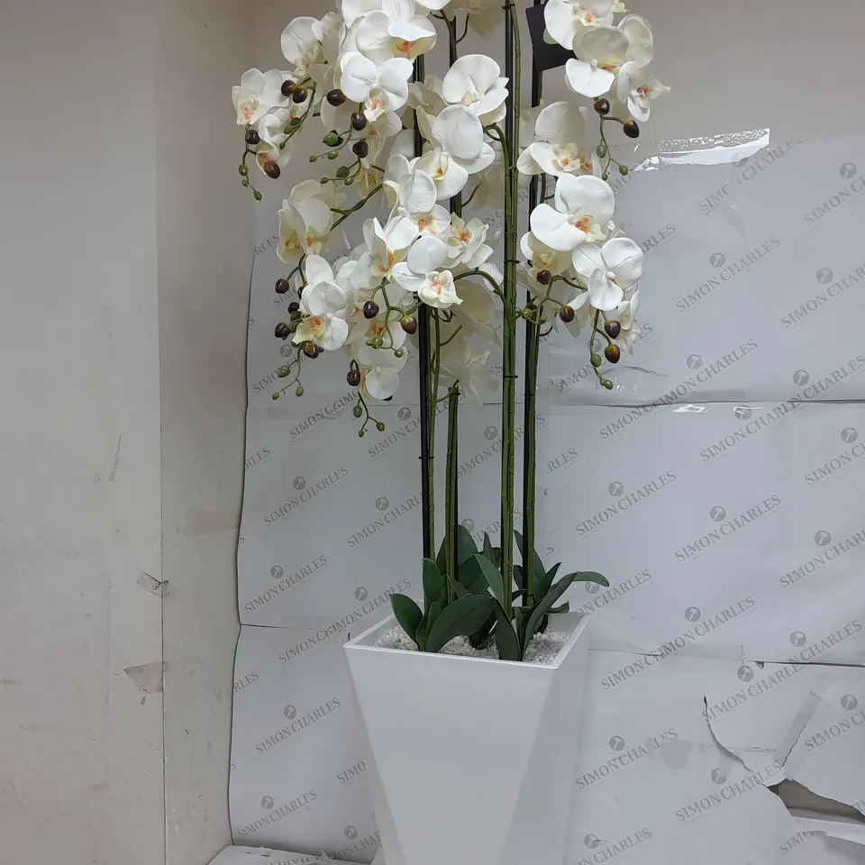 BOXED JM BY JULIEN MACDONALD MULTI STEM ORCHID IN WHITE GLAZED POT - COLLECTION ONLY