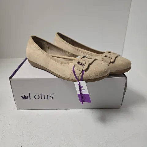 LOTUS ELENI WOMEN'S SUEDE FLATS - NATURAL - 6