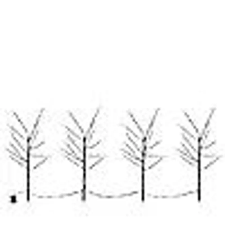 MICRODOT SET OF 4 PRE LIT PATHFINDER