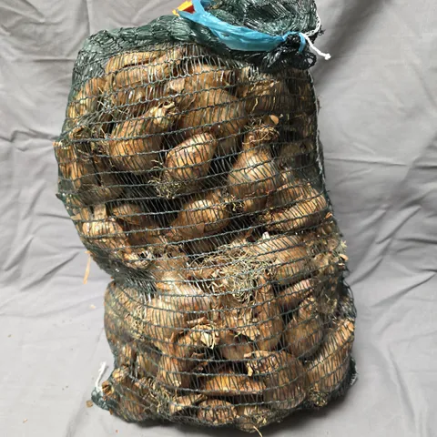 BAG OF PLANTING BULBS (UNKNOWN SPECIES)