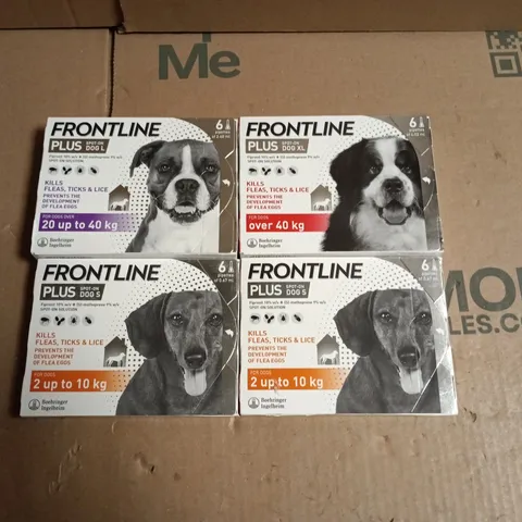 LOT OF 4 PACKS OF FRONTLINE PLUS FLEA AND TICK TREATMENT - INCLUDES S / L / XL