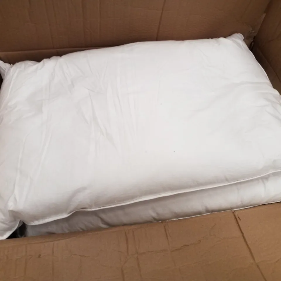 BOX CONTAINING 8 ROSE EMPIRE GOOSE FEATHER & DOWN PILLOWS