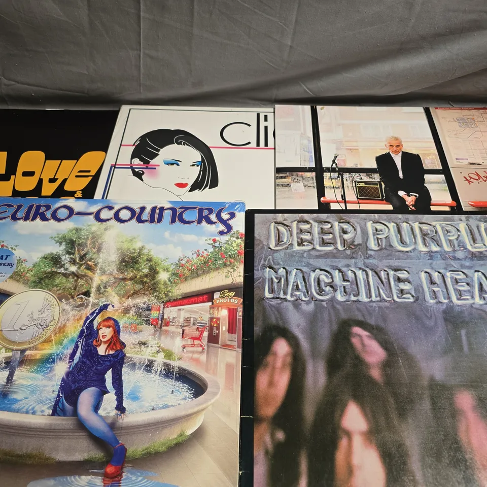 APPROXIMATELY 15 ASSORTED VINYL RECORDS TO INCLUDE DEEP PURPLE, PETER CAPALDI AND EURO-COUNTRY