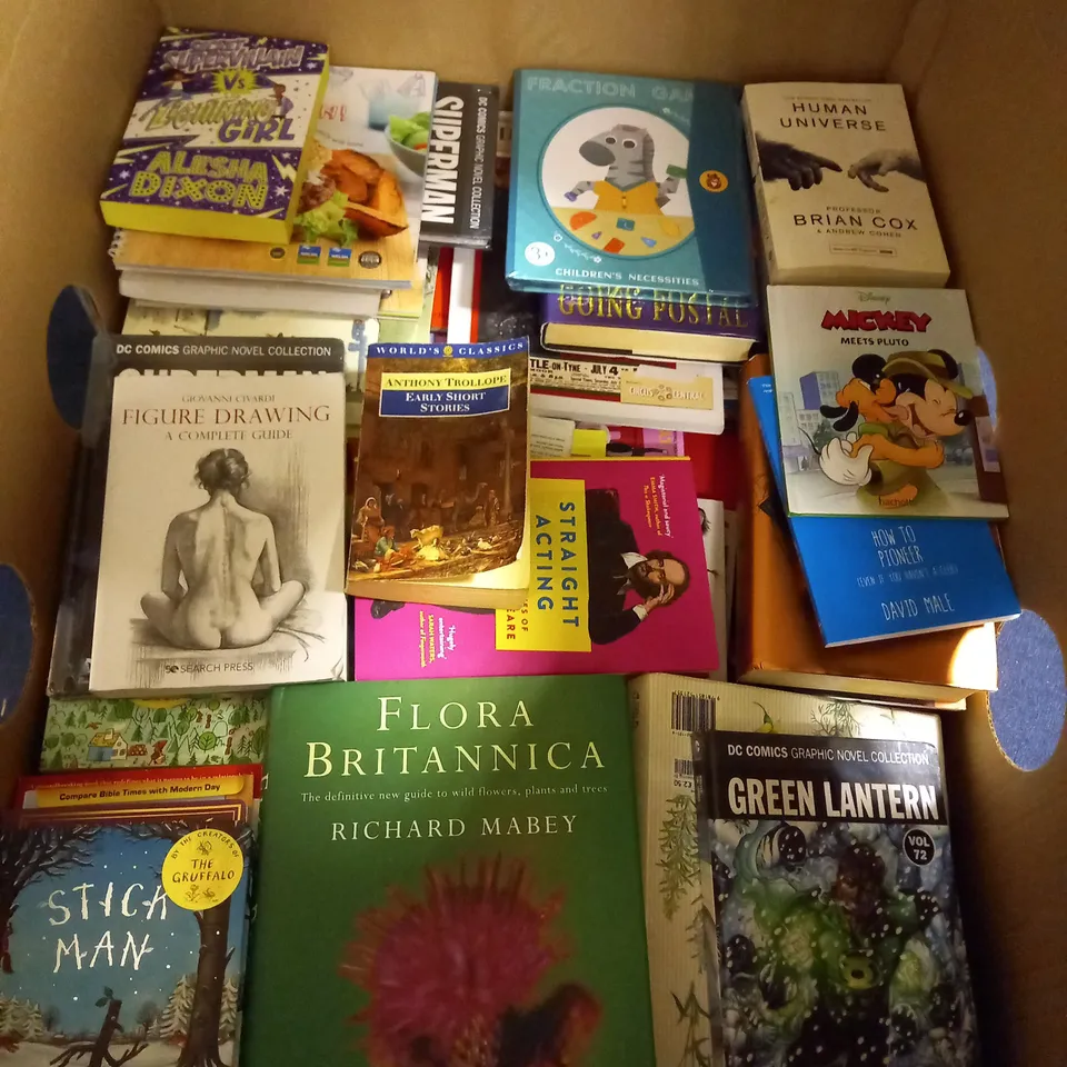 CAGE OF APPROXIMATELY 200 ASSORTED BOOKS TO INCLUDE - TAYLOR 1989 , NICCI FRENCH DAY OF DEAD , MILES KELLY PINK CAR ETC - COLLECTION ONLY