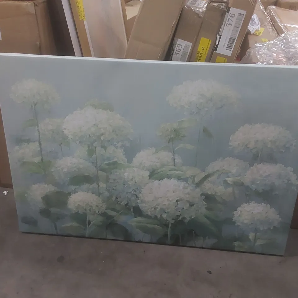 WHITE HYDRANGEA GARDEN SAGE CROP BY DANHUI NAI - WRAPPED CANVAS PRINT