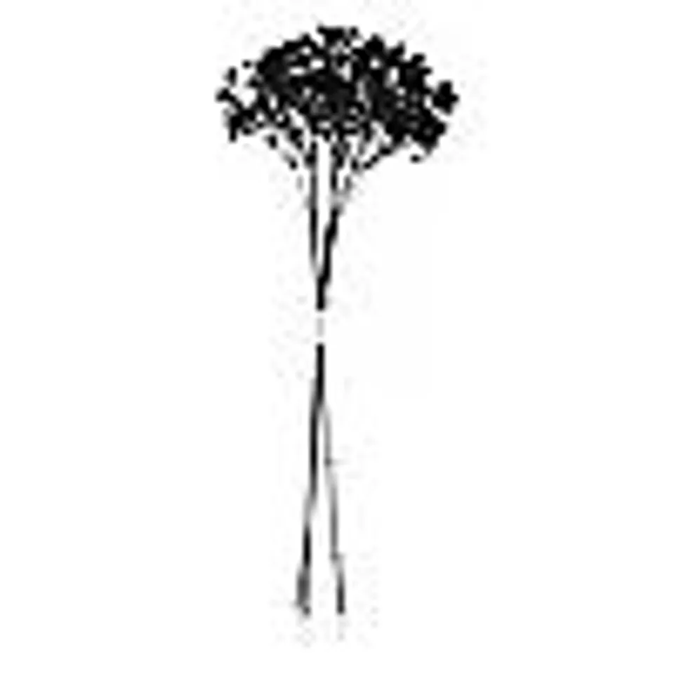 K BY KELLY HOPPEN SET OF THREE SPRAYED SEED HEADS