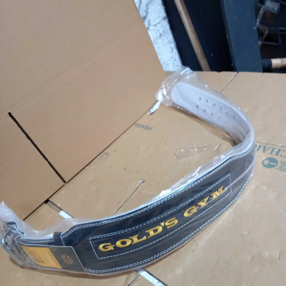 GOLDS GYM GYM BELT 