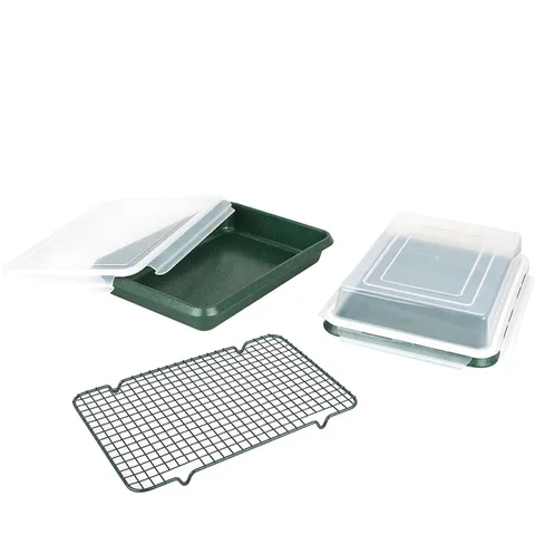 CURTIS STONE SET OF 2 ROAST AND BAKE STORE PANS
