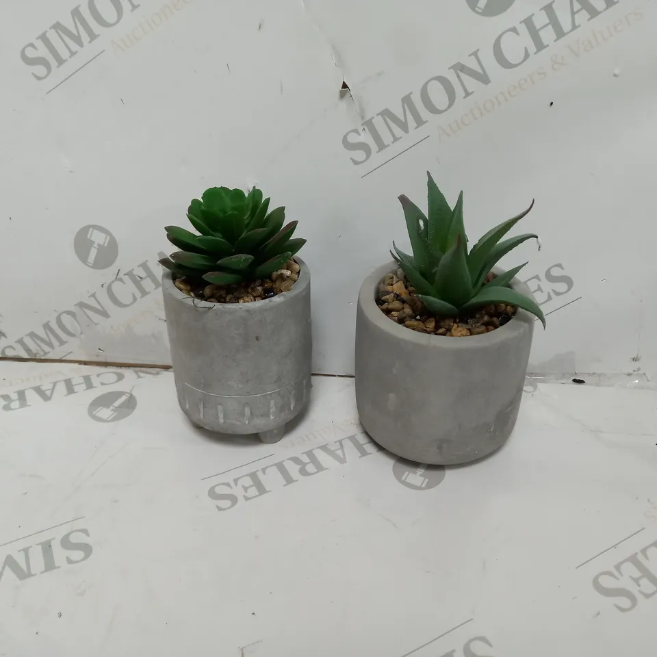 6 TINY PLANTERS WITH PLANT 2PK - COLOUR CONTRETE 