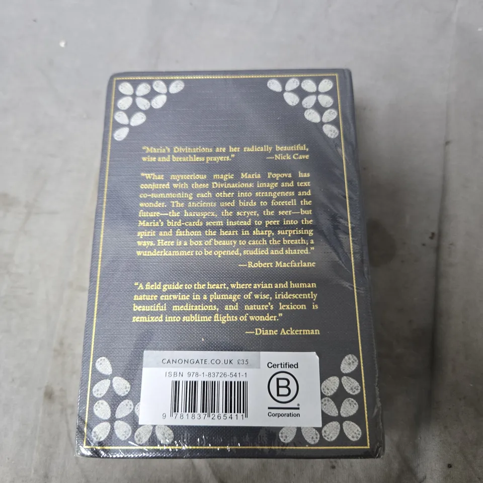 MARIA POPOVA - 100 DIVINATIONS FOR UNCERTAIN DAYS (HARDCOVER, CANONGATE)