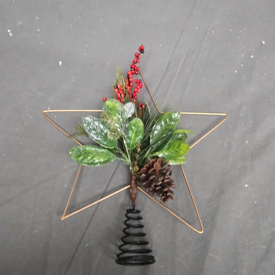 STAR WITH FOLIAGE CHRISTMAS TREE TOPPER RRP £15.99