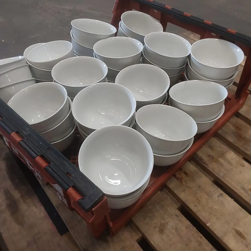 TOTE TO CONTAIN RESTAURANT BOWLS 