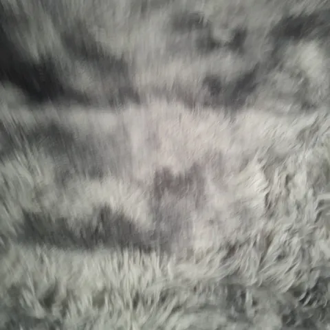 GRAY SHABBY RUG