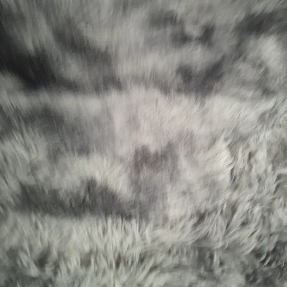 GRAY SHABBY RUG 