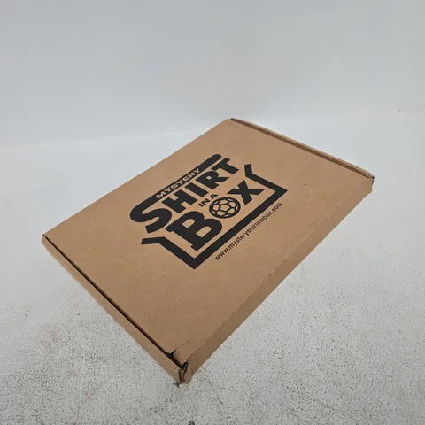 Mystery Shirt in a Box – Clothing (CLO) – UK Sizing Not Shown