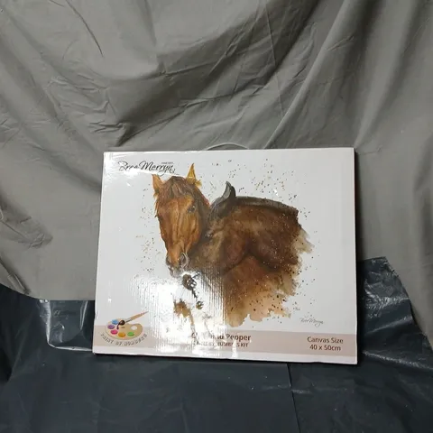 BOXED BREE MERRYN PAINT BY NUMBERS KIT – HORSE CANVAS 40 X 50 CM 