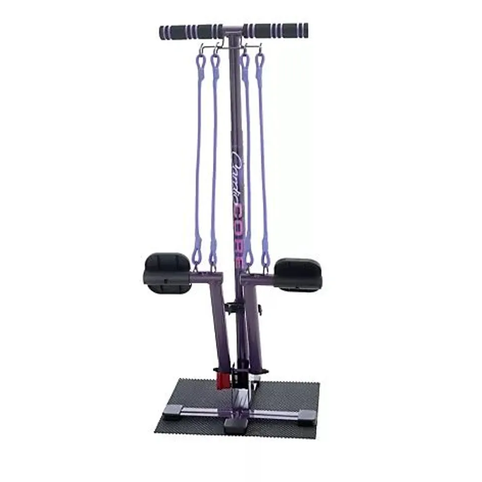 FIONA SUMMERS CARDIO CORE WITH FLOOR MAT & 2 X ADDITIONAL RESISTANCE BANDS