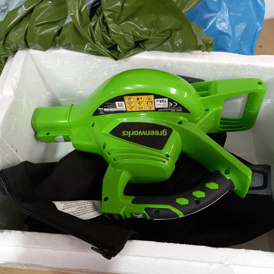 GREENWORKS TOOLS CORDLESS LEAF BLOWER AND VACUUM 2-IN-1