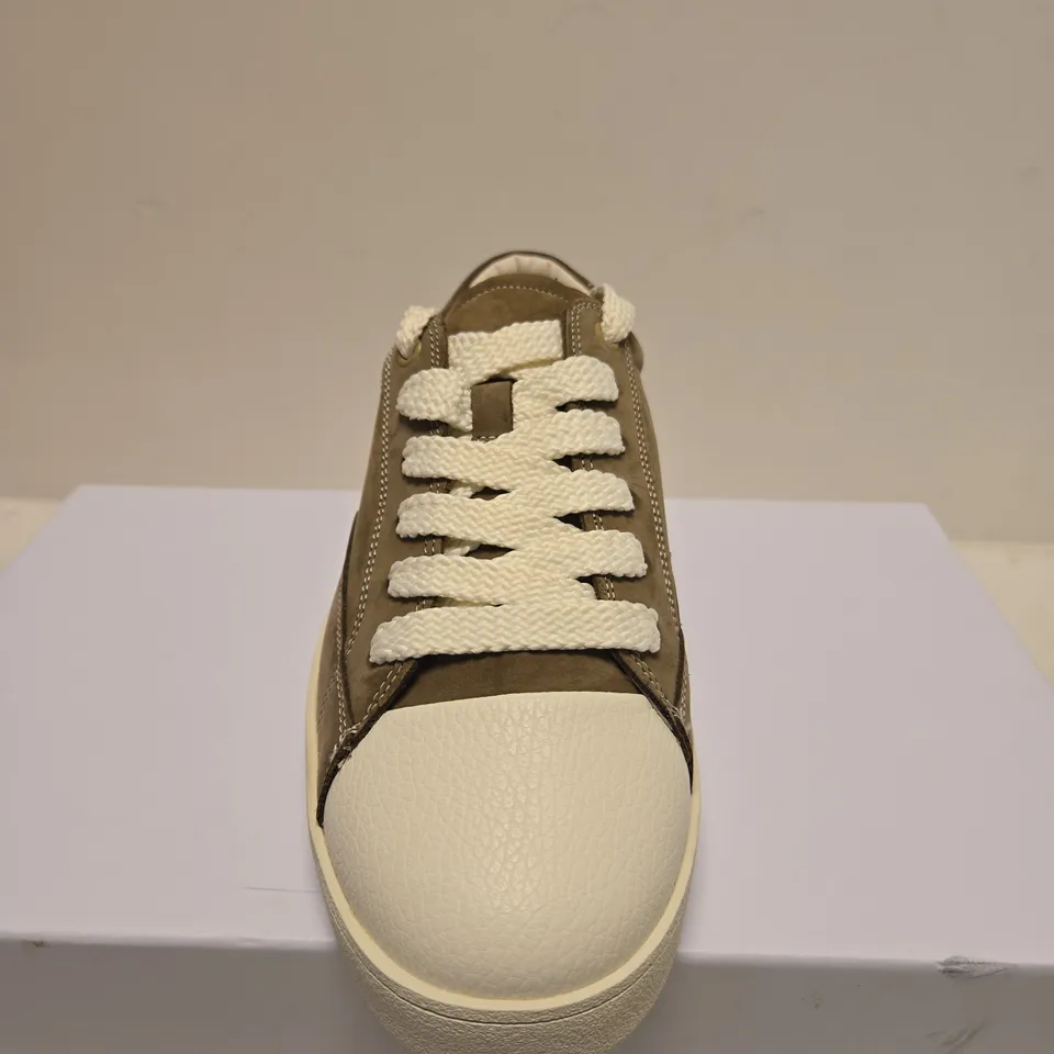 BOXED PAIR OF JUDE LLOW NICO BROWN & WHITE SNEAKER – UK 8