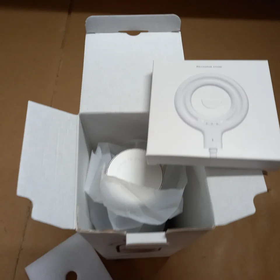 BOXED 250ML PORTABLE MINI FRUIT BLENDER