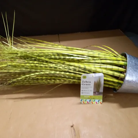 ARTIFICIAL 90CM ZEBRA GRASS IN METAL POT