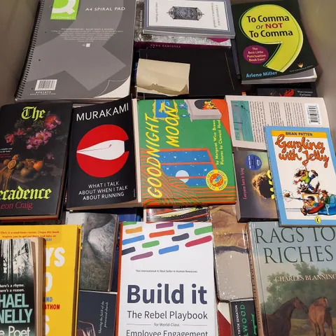 LARGE QUANTITY OF ASSORTED BOOKS TO INCLUDE RAGS TO RICHES, BUILD IT REBEL PLAYBACK AND VARIOUS KIDS BOOKS