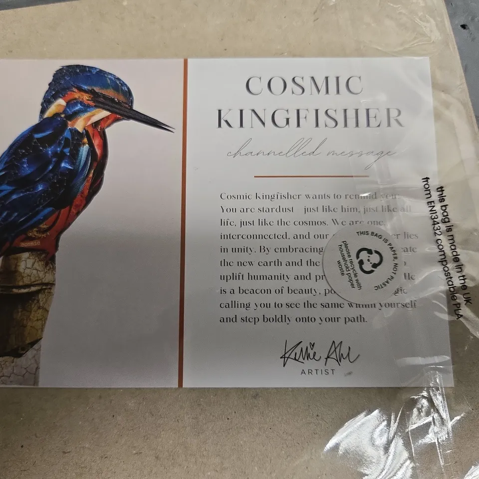 COSMIC KINGFISHER – LIMITED EDITION PRINT 2/100 KARRIE ANNE
