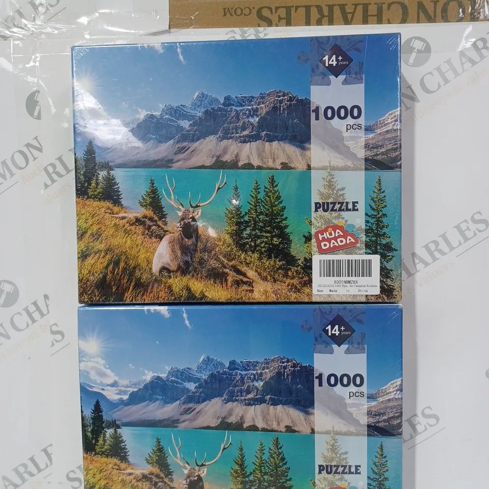 PAIR OF HUA DADA 1000 PIECE PUZZLES - ROCKY MOUNTAIN LAKE