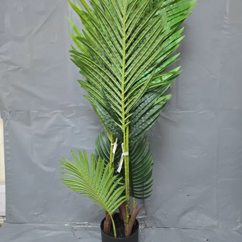 ARTIFICIAL PLANT - COLLECTION ONLY