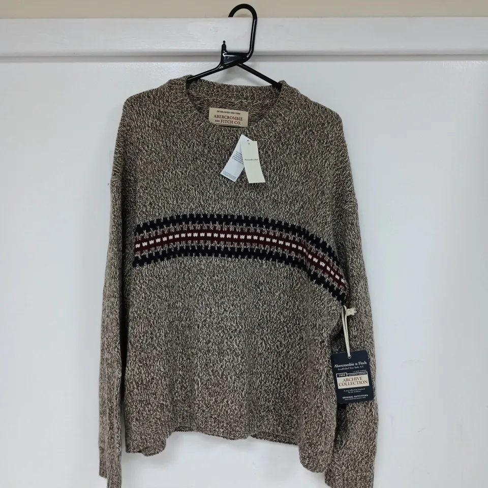 ABERCROMBIE & FITCH THE BIG SWEATER - L