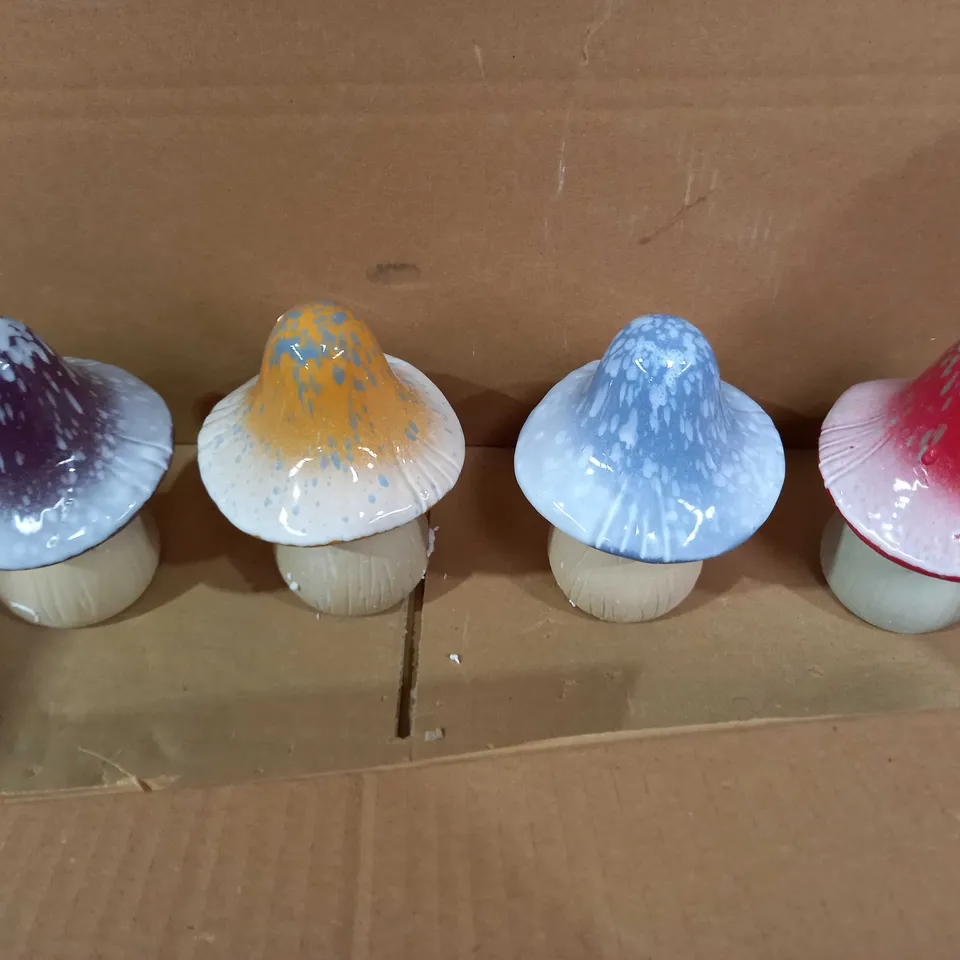 OUTDOOR ORNAMENTAL MUSHROOMS 