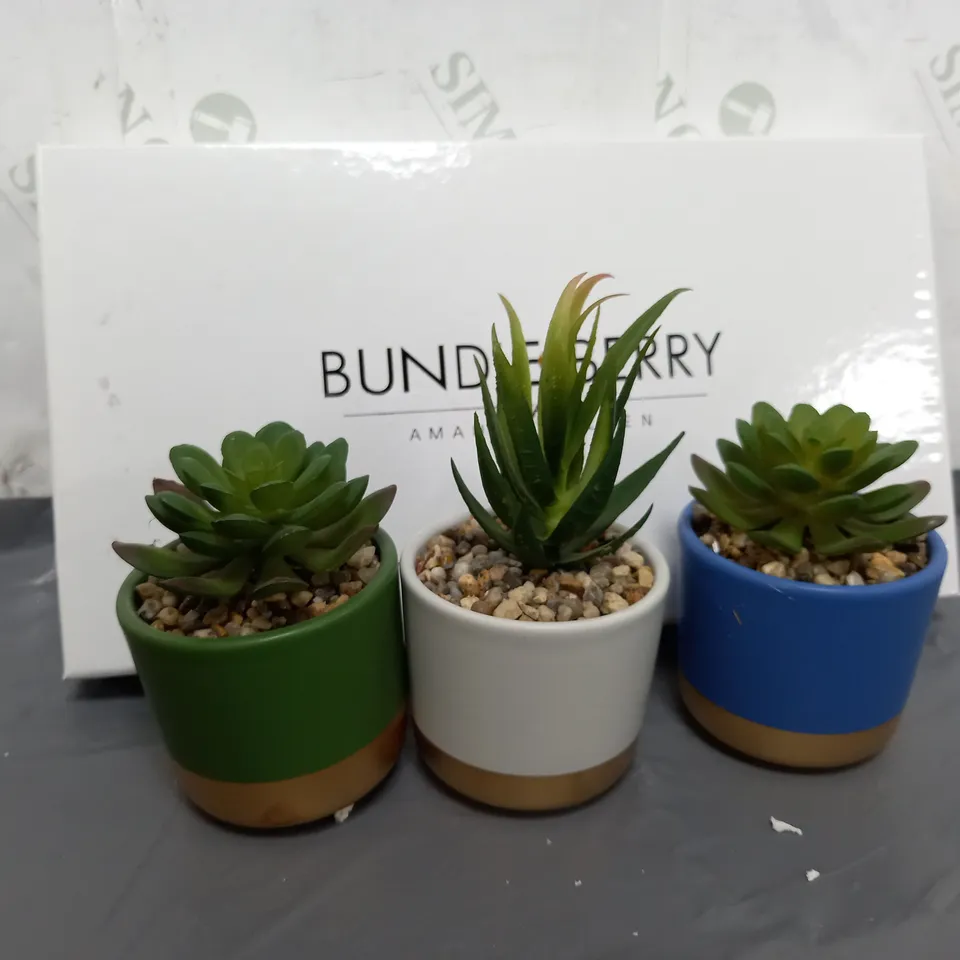 BOXED BUNDLE BERRY BY AMANDA HOLDEN SET OF MINI CERAMIC POTS WITH FAUX PLANT IN GIFT BOX  