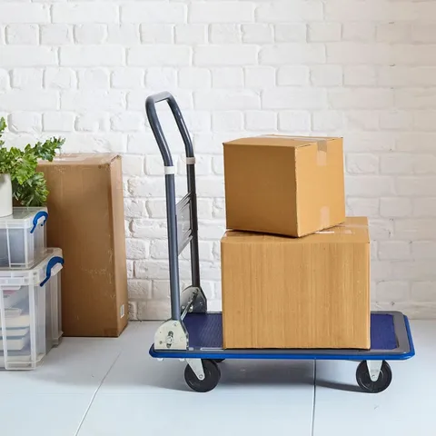 BOXED NEO PLATFORM HAND TROLLEY (1 BOX)