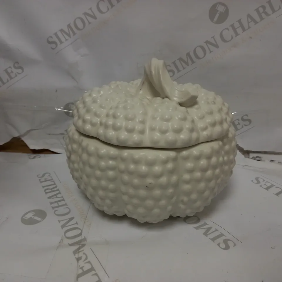HOMEWORX BY SLATKIN & CO. CERAMIC HOBNAIL PUMPKINS - WHITE