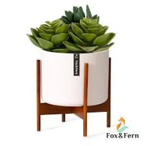 BOXED FOX & FERN SINGLE WOODEN PLANT STAND WITH INDOOR PLANT POT
