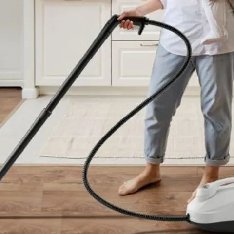 BOXED COSTWAY STEAM CLEANER - WHITE 