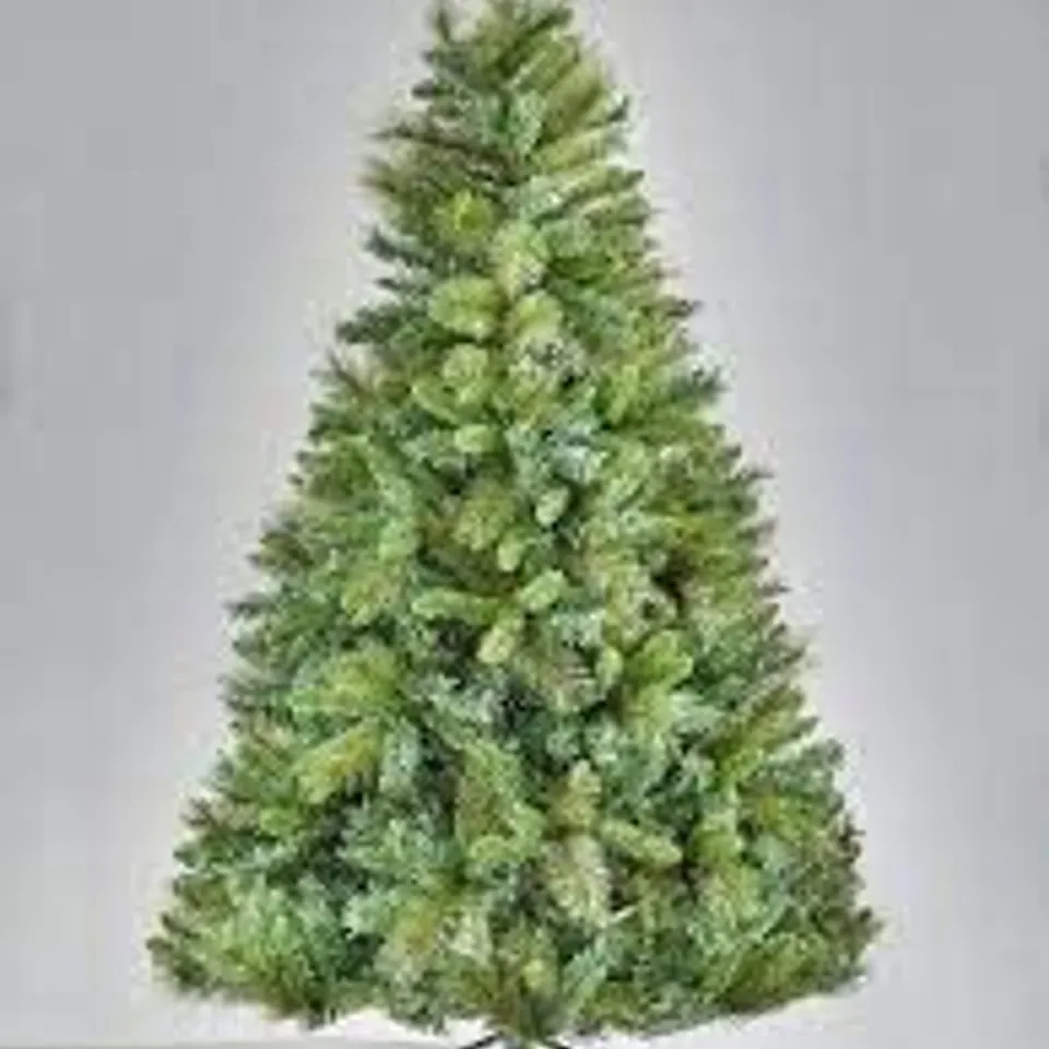 MAJESTIC PINE TREE RRP £100