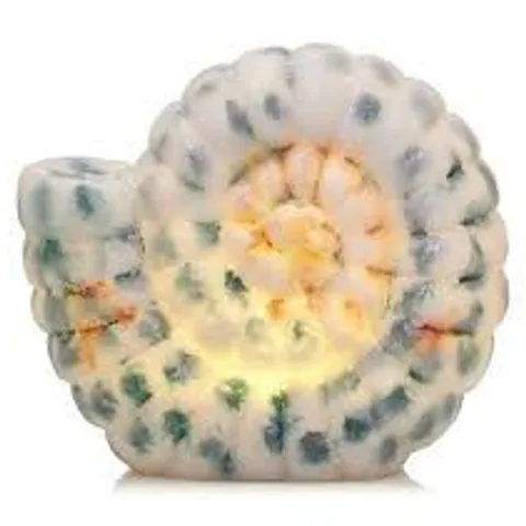 GARDEN REFLECTIONS COASTAL EDIT SEA SNAIL LED BATTERY OPERATED OUTDOOR LIGHT