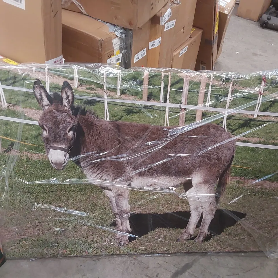 BAGGED WRAPPED CANVAS DONKEY PRINT