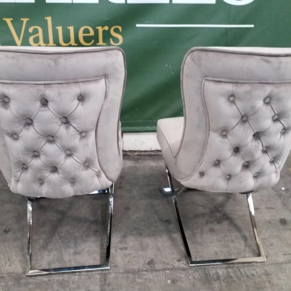 SET OF 2 MINK VELVET DINING CHAIRS