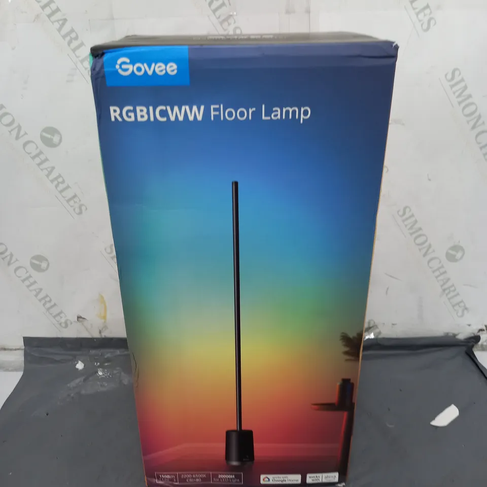 BOXED GOVEE FLOOR LAMP SEALED 