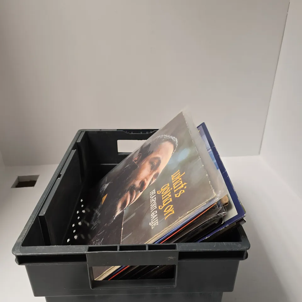 APPROXIMATELY 14 ASSORTED VINYL LP INCLUDING WET LEG , THE PROCLAIMERS AND MAGGIE RODGERS