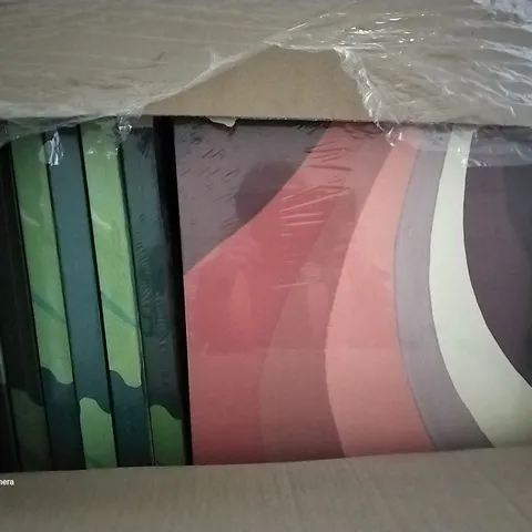 PALLET OF 2 BOXES OF APPROXIMATELY 25 ME GUSTA CANVAS FRAMED PICTURES