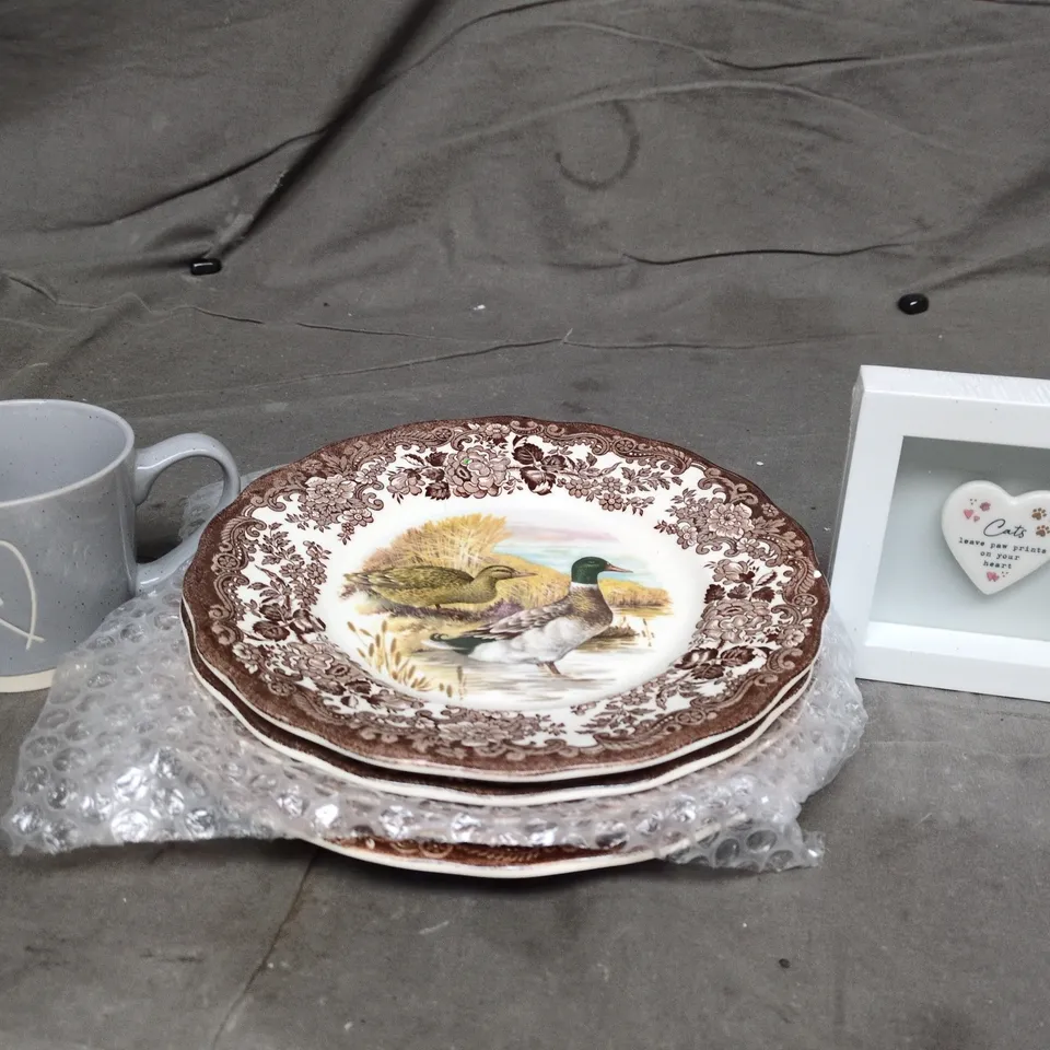LOT OF APPROXIMATELY 20 ASSORTED POTTERY ITEMS TO INCLUDE MUGS, SMALL CAT PICTURE FRAME AND DINNER PLATES